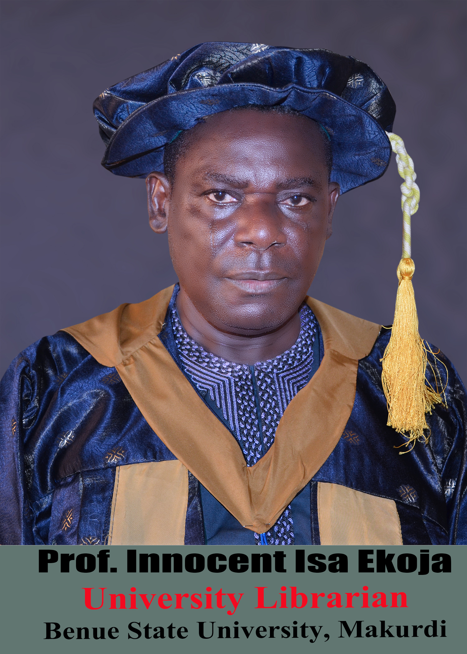 The VC The University Librarian